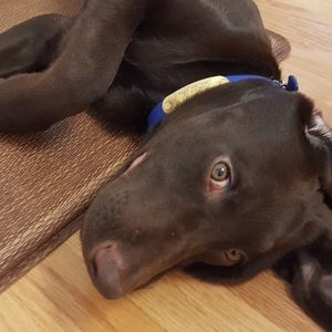 Meet your Posher, Marissa